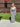 Navy Harbor Gingham Maxi - STILOSA